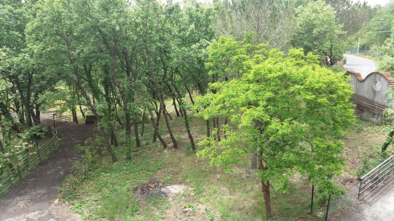 B&B Le Tre Rose Di Maria Педара Екстер'єр фото